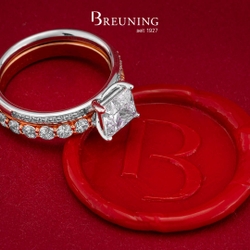 Breuning Solitaire
